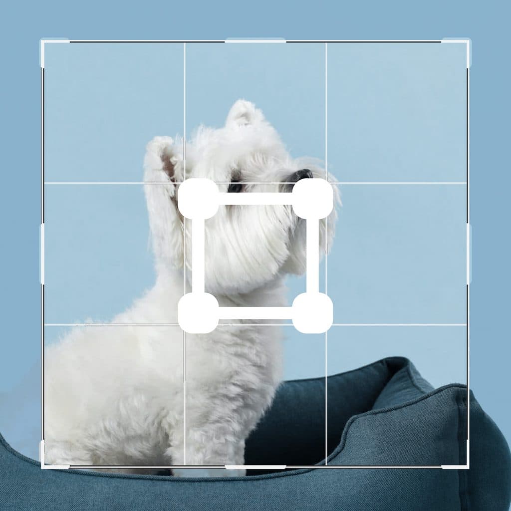 Rajaa, muuta kokoa & kierrä